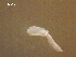  ( - D.IN.SNI.La.1.10)  @13 [ ] Copyright (2010) Unspecified Environment Canada