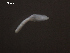  ( - D.IN.SNI.La.1.2)  @13 [ ] Copyright (2010) Unspecified Environment Canada
