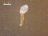  ( - D.IN.SNI.La.1.8)  @13 [ ] Copyright (2010) Unspecified Environment Canada