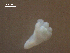  ( - H.IN.DWR08.Pa.4.1)  @11 [ ] Copyright (2010) Unspecified Environment Canada