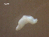  ( - H.IN.DWR08.Pa.4.1)  @11 [ ] Copyright (2010) Unspecified Environment Canada