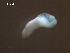  ( - H.IN.DWR08.Pa.4.2)  @11 [ ] Copyright (2010) Unspecified Environment Canada