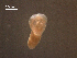  ( - H.IN.SNI.Pa.1.2)  @11 [ ] Copyright (2010) Unspecified Environment Canada