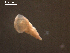  ( - H.IN.SNI.Pa.1.4)  @11 [ ] Copyright (2010) Unspecified Environment Canada