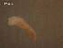  ( - H.IN.SNI.Pa.1.6)  @11 [ ] Copyright (2010) Unspecified Environment Canada