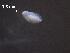  ( - H.KY.1.G.9.1)  @11 [ ] Copyright (2010) Unspecified Environment Canada
