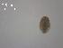  ( - H.LM.1.G.6.1)  @11 [ ] Copyright (2010) Unspecified Environment Canada