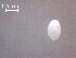  ( - H.LM.1.G.6.1)  @11 [ ] Copyright (2010) Unspecified Environment Canada