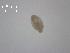 ( - H.LM.S.G.13.1)  @11 [ ] Copyright (2010) Unspecified Environment Canada