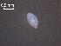  ( - H.LM.S.G.13.1)  @11 [ ] Copyright (2010) Unspecified Environment Canada
