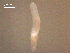  ( - P.IN.SSO.Ld.2F.1)  @12 [ ] Copyright (2010) Unspecified Environment Canada