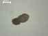  ( - P.KY.B08.S.1F.4)  @12 [ ] Copyright (2010) Unspecified Environment Canada