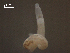  ( - Sc.IN.SSO.Ld.1F.2)  @12 [ ] Copyright (2010) Unspecified Environment Canada