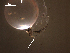  ( - T.RL.LMS.Cc.1.1)  @11 [ ] Copyright (2010) Unspecified Environment Canada