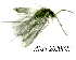  ( - ARin-2020F83)  @11 [ ] by-nc (2020) Aki Rinne University of Oulu