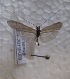  ( - JSlk-2011F003)  @13 [ ] Unspecified (default): All Rights Reserved  Unspecified Unspecified