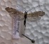  ( - JSlk-2011F070)  @12 [ ] Unspecified (default): All Rights Reserved  Unspecified Unspecified