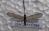  ( - JSlk-2011F094)  @12 [ ] Unspecified (default): All Rights Reserved  Unspecified Unspecified