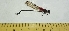  ( - IAvH-TRI-MAC0001-4.1)  @11 [ ] Copyright (2022) Instituto de Investigaciones Alexander von Humboldt (IAvH) Instituto de Investigaciones Alexander von Humboldt (IAvH)