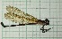  ( - IAvH-TRI-MAC0020-2.1)  @11 [ ] Copyright (2022) Instituto de Investigaciones Alexander von Humboldt (IAvH) Instituto de Investigaciones Alexander von Humboldt (IAvH)