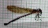  ( - IAvH-TRI-MAC0014-2)  @11 [ ] Copyright (2022) Instituto de Investigaciones Alexander von Humboldt (IAvH) Instituto de Investigaciones Alexander von Humboldt (IAvH)