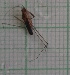  ( - IAvH-TRI-MAC0023-10.4)  @11 [ ] Copyright (2022) Instituto de Investigaciones Alexander von Humboldt (IAvH) Instituto de Investigaciones Alexander von Humboldt (IAvH)