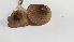  ( - IAvH-TRI-MR094)  @11 [ ] Copyright (2021) Instituto Alexander von Humboldt (IAvH) Instituto de Investigacion de Recursos Biologicos Alexander von Humboldt (IAvH)