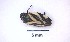  ( - IAvH-TRI-HFC102)  @11 [ ] Copyright (c) (2022) Victor AB Instituto de Investigación de Recursos Biológicos Alexander von Humboldt