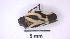  ( - IAvH-TRI-HFC104)  @11 [ ] Copyright (c) (2022) Victor AB Instituto de Investigación de Recursos Biológicos Alexander von Humboldt