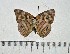  ( - IAvH-TRI-A1134)  @11 [ ] copyright (2022) Instituto de Investigacion Alexander von Humboldt (IAvH). Instituto de Investigacion Alexander von Humboldt (IAvH).