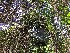  ( - IAvH-TRI-A119)  @11 [ ] copyright (2022) Instituto de Investigacion Alexander von Humboldt (IAvH). Instituto de Investigacion Alexander von Humboldt (IAvH).