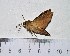  ( - IAvH-TRI-A2152)  @11 [ ] copyright (2022) Instituto de Investigacion Alexander von Humboldt (IAvH). Instituto de Investigacion Alexander von Humboldt (IAvH).