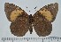  ( - IAvH-TRI-A725)  @11 [ ] copyright (2022) Instituto de Investigacion Alexander von Humboldt (IAvH). Instituto de Investigacion Alexander von Humboldt (IAvH).