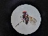  ( - IAvH-TRI-JCM0044)  @11 [ ] Copyright (2022) Instituto de Investigacion Alexander von Humboldt (IAvH) Instituto de Investigacion Alexander von Humboldt (IAvH)