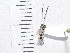  ( - IAvH-TRI-FCZ0178)  @11 [ ] Copyright (2022) Instituto de Investigaciones Alexander von Humboldt (IAvH) Instituto de Investigaciones Alexander von Humboldt (IAvH)
