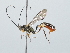  ( - IAvH-TRI-FCZ0222)  @11 [ ] Copyright (2022) Instituto de Investigaciones Alexander von Humboldt (IAvH) Instituto de Investigaciones Alexander von Humboldt (IAvH)