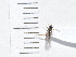  ( - IAvH-TRI-FCZ0285)  @11 [ ] Copyright (2022) Instituto de Investigaciones Alexander von Humboldt (IAvH) Instituto de Investigaciones Alexander von Humboldt (IAvH)