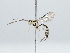  ( - IAvH-TRI-FCZ0369)  @11 [ ] Copyright (2022) Instituto de Investigaciones Alexander von Humboldt (IAvH) Instituto de Investigaciones Alexander von Humboldt (IAvH)