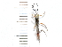  ( - IAvH-TRI-FCZ0518)  @11 [ ] Copyright (2022) Instituto de Investigaciones Alexander von Humboldt (IAvH) Instituto de Investigaciones Alexander von Humboldt (IAvH)