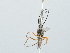  ( - IAvH-TRI-FCZ0518)  @11 [ ] Copyright (2022) Instituto de Investigaciones Alexander von Humboldt (IAvH) Instituto de Investigaciones Alexander von Humboldt (IAvH)