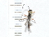  ( - IAvH-TRI-FCZ0529)  @11 [ ] Copyright (2022) Instituto de Investigaciones Alexander von Humboldt (IAvH) Instituto de Investigaciones Alexander von Humboldt (IAvH)
