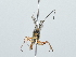  ( - IAvH-TRI-FCZ0529)  @11 [ ] Copyright (2022) Instituto de Investigaciones Alexander von Humboldt (IAvH) Instituto de Investigaciones Alexander von Humboldt (IAvH)