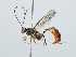  ( - IAvH-TRI-FCZ0529)  @11 [ ] Copyright (2022) Instituto de Investigaciones Alexander von Humboldt (IAvH) Instituto de Investigaciones Alexander von Humboldt (IAvH)