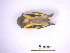  ( - IAvH-Tr-HEM0117)  @11 [ ] Copyright (2022) Instituto de Investigaciones Alexander von Humboldt (IAvH) Instituto de Investigaciones Alexander von Humboldt (IAvH)
