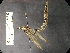  ( - IAvH-TRI-ALH-G1048)  @11 [ ] Copyright (2022) Instituto de Investigaciones Alexander von Humboldt (IAvH) Instituto de Investigaciones Alexander von Humboldt (IAvH)
