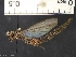  ( - IAvH-TRI-ALH-G1051)  @11 [ ] Copyright (2022) Instituto de Investigaciones Alexander von Humboldt (IAvH) Instituto de Investigaciones Alexander von Humboldt (IAvH)