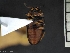  ( - IAvH-TRI-ALH-G218)  @11 [ ] Copyright (2022) Instituto de Investigaciones Alexander von Humboldt (IAvH) Instituto de Investigaciones Alexander von Humboldt (IAvH)