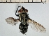  ( - IAvH-TRI-DIPG325)  @11 [ ] Copyright (c) (2022) Wilber Lopez Instituto de Investigaciones Alexander von Humboldt (IAvH)