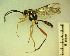  ( - IAvH-TRI-MAL211-HYM-0017.4)  @11 [ ] Copyright (2023) Instituto de Investigacion Alexander von Humboldt (IAvH) Instituto de Investigacion Alexander von Humboldt (IAvH)