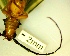  ( - IAvH-TRI-MAL218-COL-0224.2)  @11 [ ] Copyright (2023) Instituto de Investigacion Alexander von Humboldt (IAvH) Instituto de Investigacion Alexander von Humboldt (IAvH)